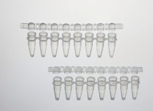 pcr-gallery-image-02, tira PCR para laboratorio Colombia, Inslabco